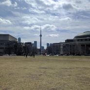 2017-03-09_11-41-48.jpg