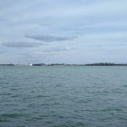 2017-03-09_13-07-46.jpg
