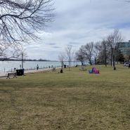 2017-03-09_13-09-50.jpg