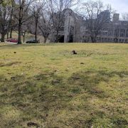 2017-03-09_11-52-26.jpg