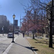 2017-03-08_10-14-26.jpg