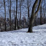 2017-03-13_13-43-50.jpg