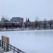 2017-03-13_17-26-33.jpg