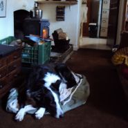 2017-02-05_13-43-16.JPG