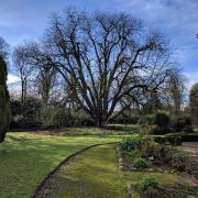 2017-02-05_14-47-10.jpg