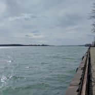 2017-03-09_13-07-55.jpg
