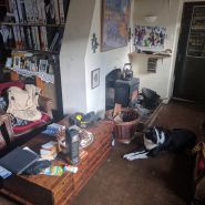 2017-02-08_15-58-18.jpg