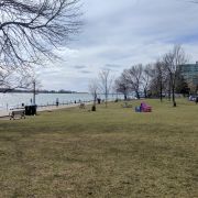 2017-03-09_13-09-50.jpg