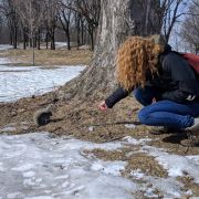 2017-03-13_13-18-26.jpg